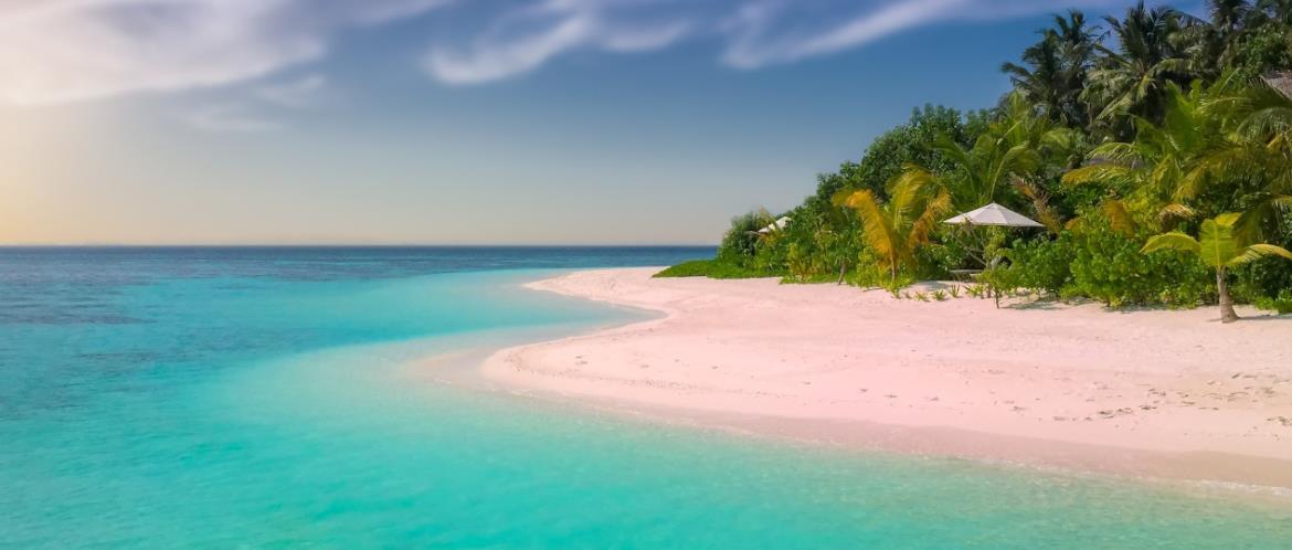 Ultimate Travel Club